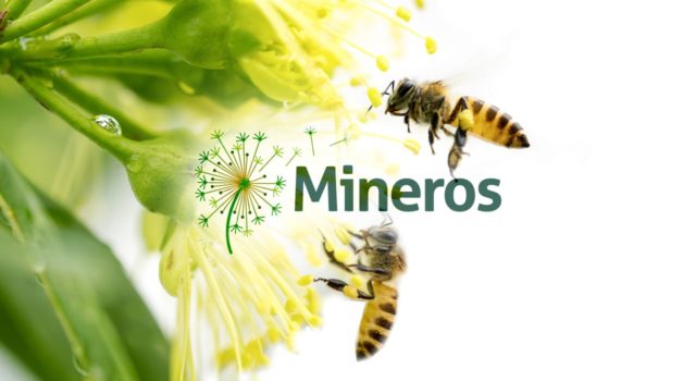 Mineros Rebranding